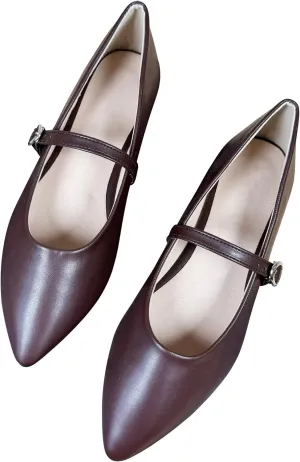 Dear Time Women's Pointed Toe Flats Mary Jane Shoes Adjustable Strap Ballets Vintage Office Work Comfortable Shoes